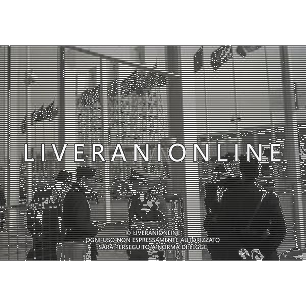 1936-1939 ROMA -VITA QUOTIDIANA E MONUMENTI PER LE VIE DI ROMA FOTO ARCHIVIO VESPASIANI-AG GIOVANNI LIVERANI-AG ALDO LIVERANI SAS