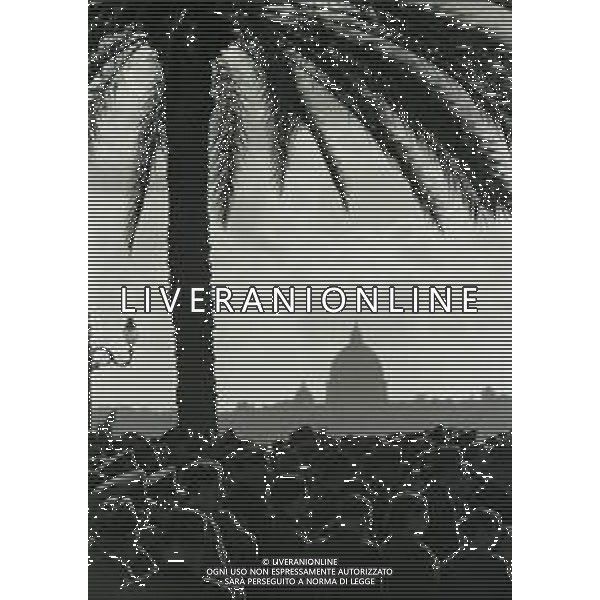 1936-1939 ROMA -VITA QUOTIDIANA E MONUMENTI PER LE VIE DI ROMA FOTO ARCHIVIO VESPASIANI-AG GIOVANNI LIVERANI-AG ALDO LIVERANI SAS
