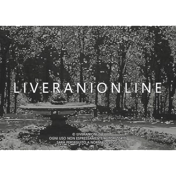 1936-1939 ROMA -VITA QUOTIDIANA E MONUMENTI PER LE VIE DI ROMA FOTO ARCHIVIO VESPASIANI-AG GIOVANNI LIVERANI-AG ALDO LIVERANI SAS