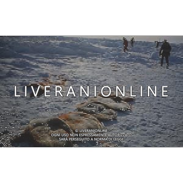 Le foche o focidi sono una famiglia di mammiferi carnivori marini appartenenti alla superfamiglia dei pinnipedi. Le foche vivono lungo le coste dei mari ghiacciati, freddi e temperati NELLA FOTO LA CACCIA ALLE FOCHE ARCHIVIO DFP-AG ALDO LIVERANI SAS 
