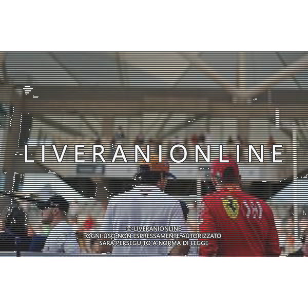(L to R): Carlos Sainz Jr (ESP) McLaren and Charles Leclerc (MON) Ferrari on the drivers parade. 01.12.2019. Formula 1 World Championship, Rd 21, Abu Dhabi Grand Prix, Yas Marina Circuit, Abu Dhabi, Race Day. / AGENZIA ALDO LIVERANI SAS - ITALY ONLY EDITORIAL USE ONLY