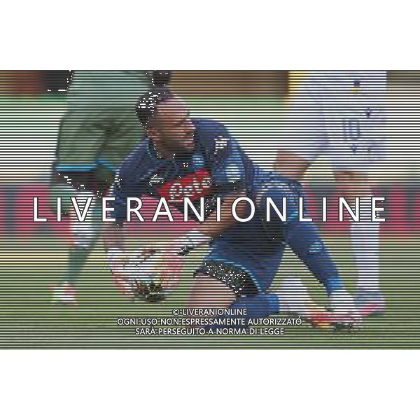 Hellas Verona - Napoli Campionato di Calcio Serie A TIM 23/06/2020 nella foto: Ospina David(ssc napoli) ©Claudio Zamagni/Agenzia Aldo Liverani Ospina David(ssc napoli) during Italian Serie A soccer match between HELLAS VERONA - NAPOLI at Marc\'Antonio Bentegodi Stadium on June 23 2020 photo credit by Claudio Zamagni/Aldo Liverani Photo Agency/ AGENZIA ALDO LIVERANI SAS