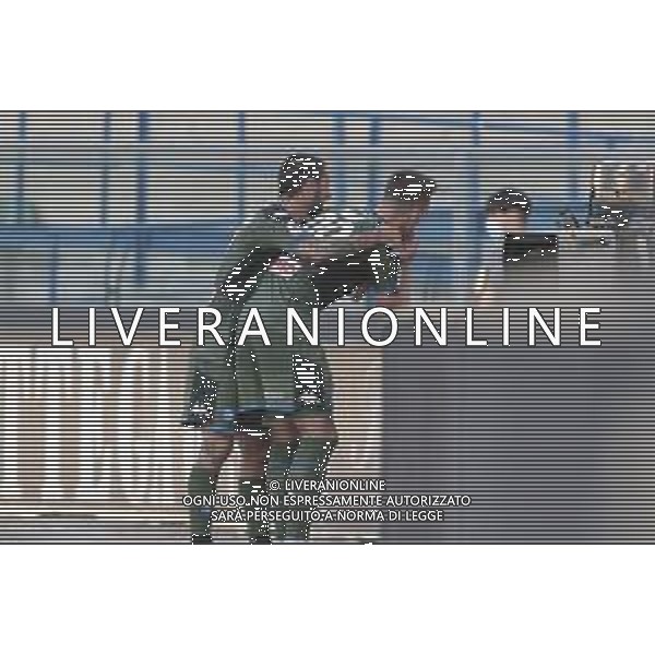 Verona (VR), Italia, 23 Giugno 2020, Stadio Marc\'Antonio Bentegodi, 27° giornata Campionato Serie A Tim 2019/2020, incontro tra le squadre dell\'Hellas Verona e del Napoli FC, nella foto: esultanza arkadiusz Milik dopo il gol ©Davide Casentini / AGENZIA ALDO LIVERANI SAS