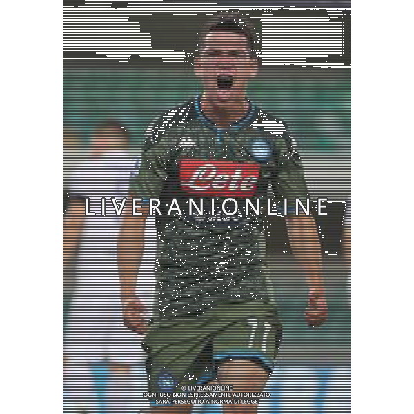 Hellas Verona - Napoli Campionato di Calcio Serie A TIM 23/06/2020 nella foto: Esultanza dopo il gol di Lozano Hirving (ssc napoli) ©Claudio Zamagni/Agenzia Aldo Liverani Lozano Hirving(ssc napoli) celebrates after scoring a goal during Italian Serie A soccer match between HELLAS VERONA - NAPOLI at Marc\'Antonio Bentegodi Stadium on June 23 2020 photo credit by Claudio Zamagni/Aldo Liverani Photo Agency/ AGENZIA ALDO LIVERANI SAS