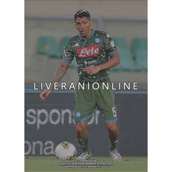 Hellas Verona - Napoli Campionato di Calcio Serie A TIM 23/06/2020 nella foto: Allan Marques Loureiro(ssc napoli) ©Claudio Zamagni/Agenzia Aldo Liverani Allan Marques Loureiro(ssc napoli) during Italian Serie A soccer match between HELLAS VERONA - NAPOLI at Marc\'Antonio Bentegodi Stadium on June 23 2020 photo credit by Claudio Zamagni/Aldo Liverani Photo Agency / AGENZIA ALDO LIVERANI SAS