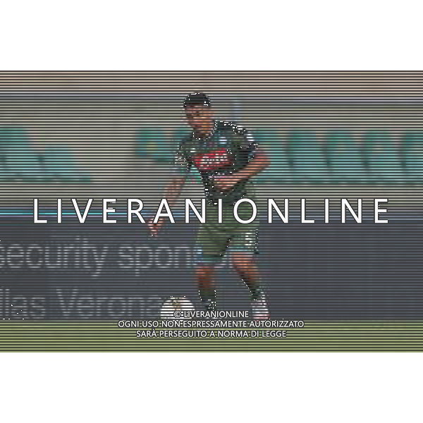 Hellas Verona - Napoli Campionato di Calcio Serie A TIM 23/06/2020 nella foto: Allan Marques Loureiro(ssc napoli) ©Claudio Zamagni/Agenzia Aldo Liverani Allan Marques Loureiro(ssc napoli) during Italian Serie A soccer match between HELLAS VERONA - NAPOLI at Marc\'Antonio Bentegodi Stadium on June 23 2020 photo credit by Claudio Zamagni/Aldo Liverani Photo Agency / AGENZIA ALDO LIVERANI SAS