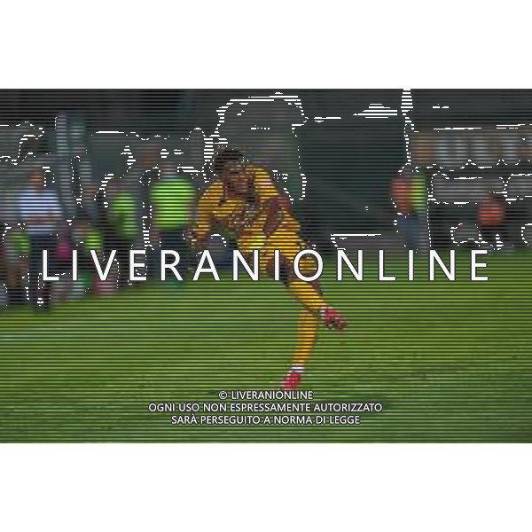 Campionato di Calcio Serie B 2019/2020 Venice, Italy, 26 Jun 2020 Venezia vs Ascoli Photo showing: Andreaw Gravillon (Ascoli) FOTO ETTORE GRIFFONI-AG ALDO LIVERANI SAS