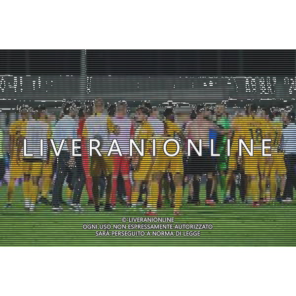 Campionato di Calcio Serie B 2019/2020 Venice, Italy, 26 Jun 2020 Venezia vs Ascoli Photo showing: protests in the field of Ascoli Calcio end the match ©Ettore Griffoni - Alessio marini / AGENZIA ALDO LIVERANI SAS