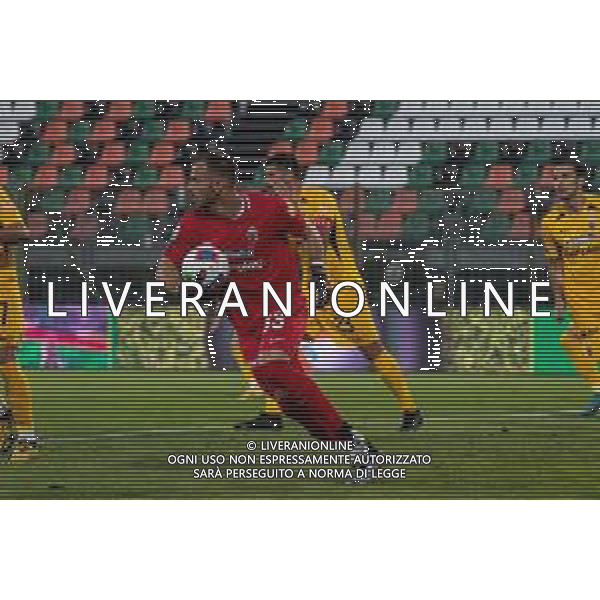 Campionato di Calcio Serie B 2019/2020 Venice, Italy, 26 Jun 2020 Venezia vs Ascoli Photo showing: Nicola Leali (Ascoli) FOTO ETTORE GRIFFONI- SERVIZIO-AG ALDO LIVERANI SAS