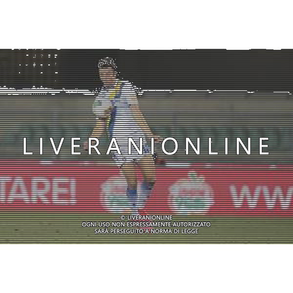 Verona (VR), Italia, 29 Giugno 2020, Stadio Marc\'Antonio Bentegodi, 31° giornata campionato di calcio Serie BKT 2019/2020, incontro tra le squadre del Chievo Verona e del Frosinone Calcio, nella foto: Novakovich Andrija ©Davide casentini / AGENZIA ALDO LIVERANI SAS