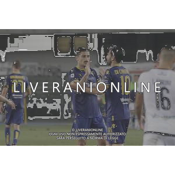 Verona (VR), Italia, 01 Luglio 2020, Stadio Marc\'Antonio Bentegodi, 29° giornata Campionato Serie A Tim 2019/2020, incontro tra le squadre dell\'Hellas Verona e del Parma Calcio, nella foto: l\'esultanza dopo il gol di Di Carmine ©Davide Casentini / AGENZIA ALDO LIVERANI SAS