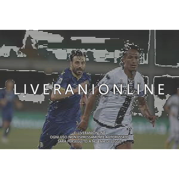 Verona (VR), Italia, 01 Luglio 2020, Stadio Marc\'Antonio Bentegodi, 29° giornata Campionato Serie A Tim 2019/2020, incontro tra le squadre dell\'Hellas Verona e del Parma Calcio, nella foto: ©Davide Casentini / AGENZIA ALDO LIVERANI SAS
