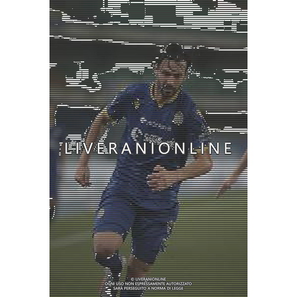 Verona (VR), Italia, 01 Luglio 2020, Stadio Marc\'Antonio Bentegodi, 29° giornata Campionato Serie A Tim 2019/2020, incontro tra le squadre dell\'Hellas Verona e del Parma Calcio, nella foto: Di Carmine ©Davide Casentini / AGENZIA ALDO LIVERANI SAS