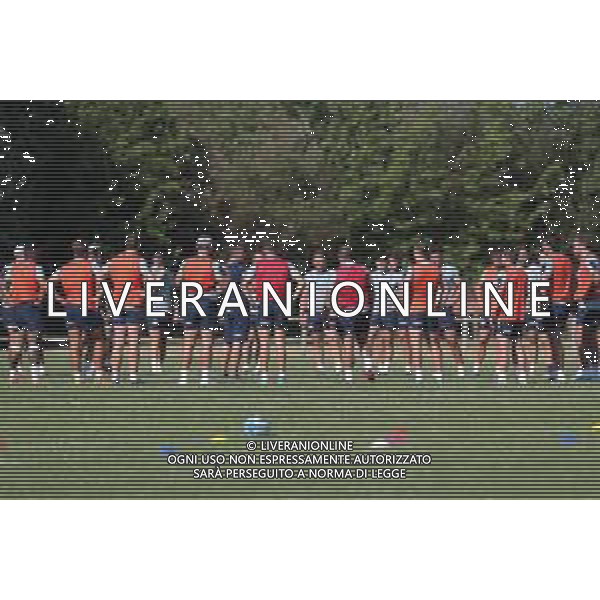 parma, Italy, 07 July 2020 Italy Rugby Team training Photo showing: The players take a break earing Franco Smith‚Äô instructions ©Massimiliano Carnabuci - Alessio Marini - Alessio Marini / AGENZIA ALDO LIVERANI SAS