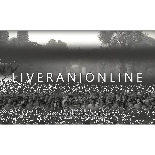 16-09-1979 MILANO PARCO SEMPIONE FESTA DELL\'UNITA\' NELLA FOTO GENTE COMIZIO DI ENRICO BERLINGUER AG ALDO LIVERANI SAS