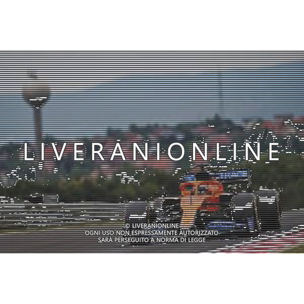 Carlos Sainz Jr (ESP) McLaren MCL35. 17.07.2020. Formula 1 World Championship, Rd 3, Hungarian Grand Prix, Budapest, Hungary, Practice Day. / AGENZIA ALDO LIVERANI SAS - ITALY ONLY EDITORIAL USE ONLY