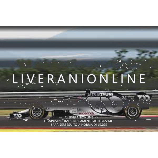 Daniil Kvyat (RUS) AlphaTauri AT01. 17.07.2020. Formula 1 World Championship, Rd 3, Hungarian Grand Prix, Budapest, Hungary, Practice Day. / AGENZIA ALDO LIVERANI SAS - ITALY ONLY EDITORIAL USE ONLY