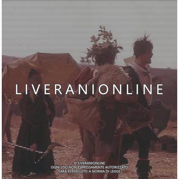RETROSPETTIVA VITTORIO GASSMAN ATTORE NELLA FOTO VITTORIO GASSMAN NEL FILM"L\'ARMATA BRANCALEONE" NELL\'ANNO 1966 AG ALDO LIVERANI SAS