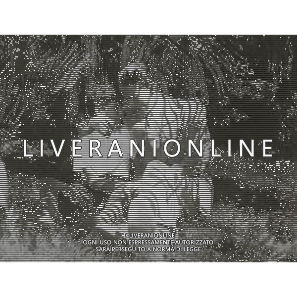 RETROSPETTIVA AMEDEO NAZZARI ATTORE NELLA FOTO AMEDEO NAZZARI NEL FILM "LUCIANO SERRA PILOTA" NELL\'ANNO 1940 AG ALDO LIVERANI SAS 