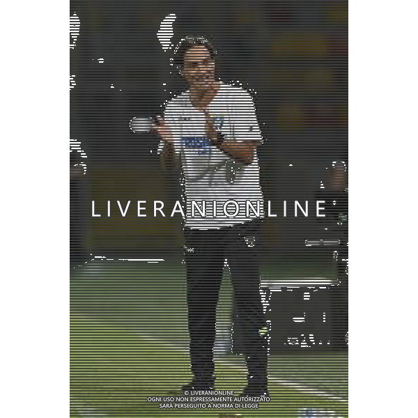 Playoff - Frosinone Vs Pordenone - Campionato di Calcio Serie B 2019/2020, 09 agosto 2020 Frosinone, Italia Nella foto: ALESSANDRO NESTA ALLENATORE FROSINONE @LM/Claudio Pasquazi AG ALDO LIVERANI SAS