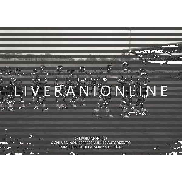1994 BERGAMO RADUNO ESTIVO ATALANTA CALCIO PRECAMPIONATO ALLO STADIO NELLA FOTO ATALANTA GIOCATORI SUL CAMPO AG ALDO LIVERANI SAS