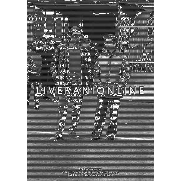 1981 -1982 VARESE CAMPIONATO DI CALCIO SERIE B VARESE CREMONESE NELLA FOTO EUGENIO FASCETTI ALLENATORE VARESE CALCIO CON GUIDO VINCENZI ALLENATORE CREMONESE CALCIO AG ALDO LIVERANI SAS