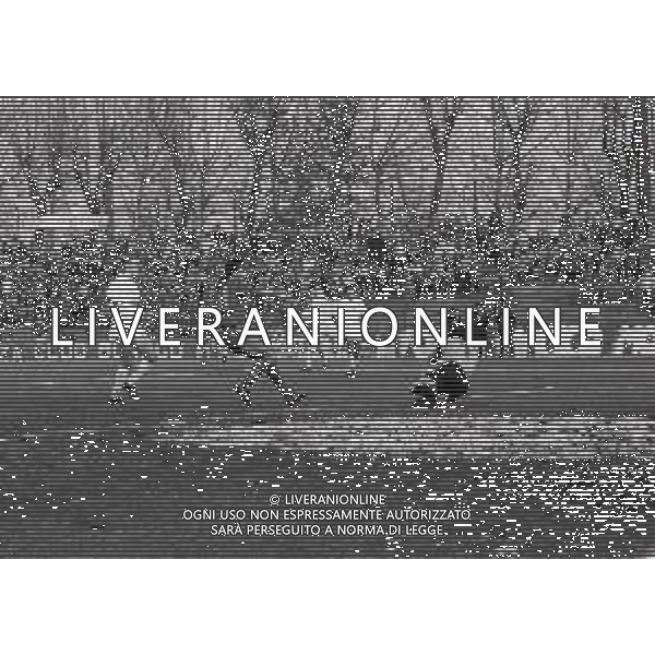 19-01-1986 MONZA CAMPIONATO DI CALCIO SERIE A MONZA PALERMO 1-1 NELLA FOTO AZIONE CLAUDIO AMBU AG ALDO LIVERANI SAS