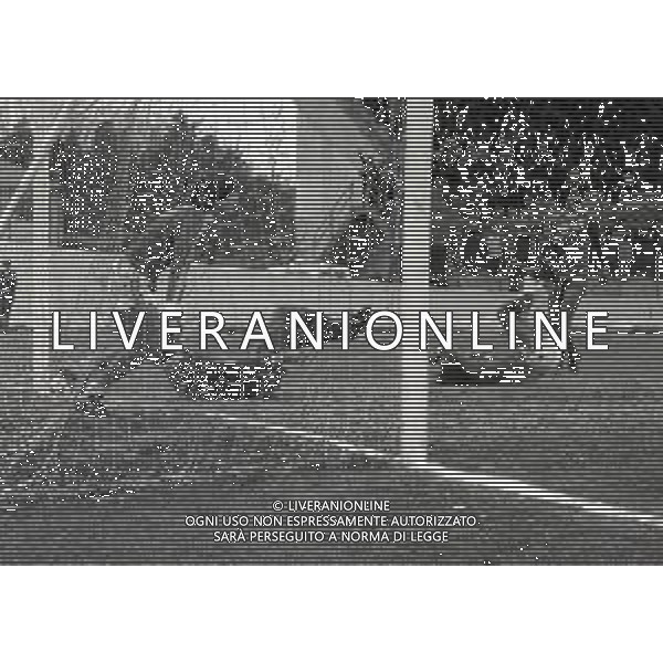 13-12-1981 VARESE-CAMPIONATO DI CALCIO SERIE B VARESE PERUGIA 3-2 NELLA FOTO DOPO GOAL VARESE AG ALDO LIVERANI SAS