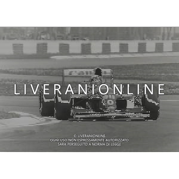 RETROSPETTIVA DAMON HILL PILOTA F1 NELLA FOTO DAMON HILL NELL\'ANNO 1993 AG ALDO LIVERANI SAS AG CONTROLUCE -DANILO RECALCATI