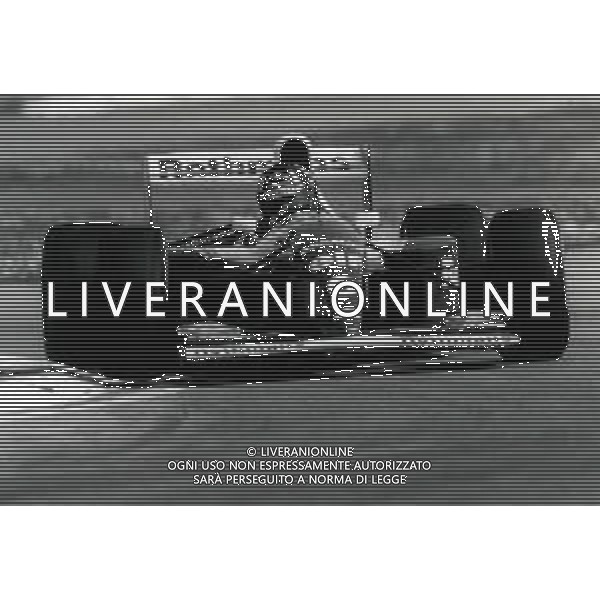 RETROSPETTIVA DAMON HILL PILOTA F1 NELLA FOTO DAMON HILL NELL\'ANNO 1994 AG ALDO LIVERANI SAS AG CONTROLUCE -DANILO RECALCATI