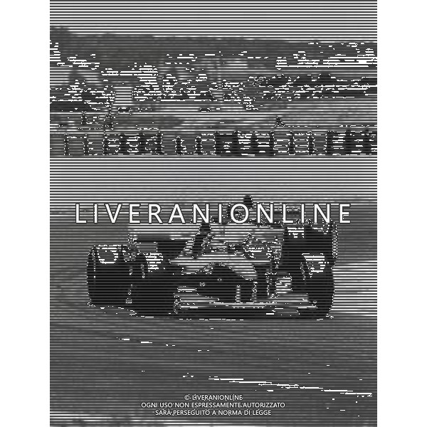 RETROSPETTIVA DAMON HILL PILOTA F1 NELLA FOTO DAMON HILL NELL\'ANNO 1995 AG ALDO LIVERANI SAS AG CONTROLUCE -DANILO RECALCATI