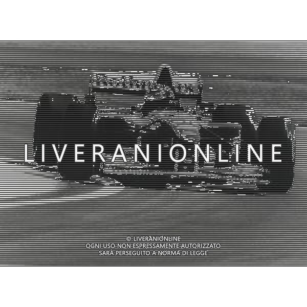 RETROSPETTIVA DAMON HILL PILOTA F1 NELLA FOTO DAMON HILL NELL\'ANNO 1995 AG ALDO LIVERANI SAS AG CONTROLUCE -DANILO RECALCATI