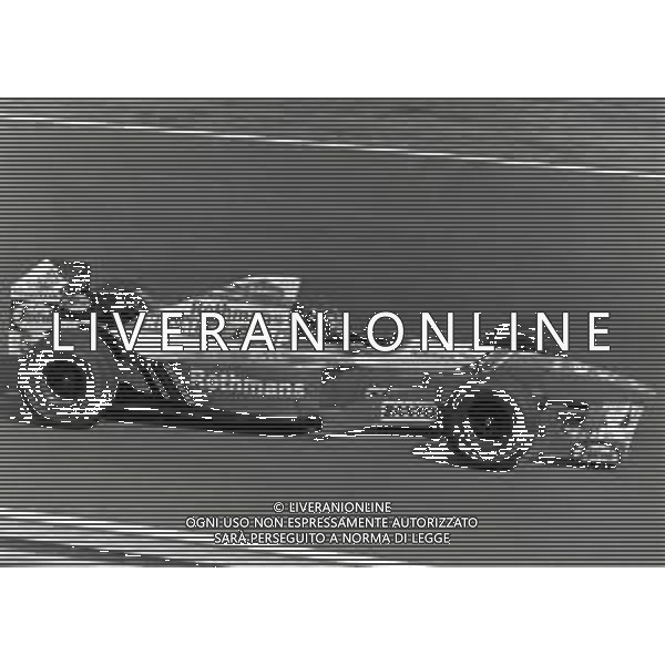 RETROSPETTIVA DAMON HILL PILOTA F1 NELLA FOTO DAMON HILL NELL\'ANNO 1995 AG ALDO LIVERANI SAS AG CONTROLUCE -DANILO RECALCATI