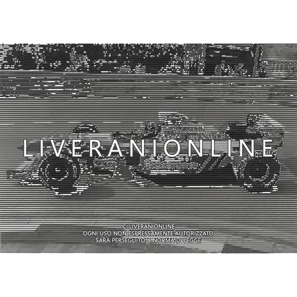 RETROSPETTIVA DAMON HILL PILOTA F1 NELLA FOTO DAMON HILL NELL\'ANNO 1995 AG ALDO LIVERANI SAS AG CONTROLUCE -DANILO RECALCATI