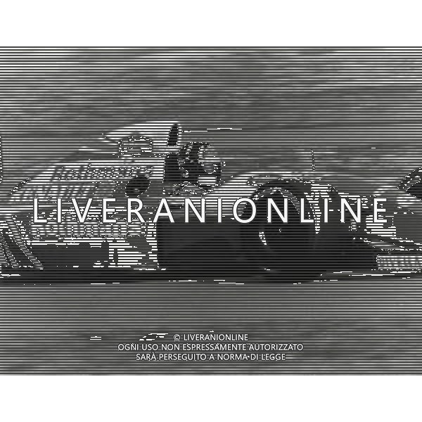 RETROSPETTIVA DAMON HILL PILOTA F1 NELLA FOTO DAMON HILL AG ALDO LIVERANI SAS AG CONTROLUCE -DANILO RECALCATI