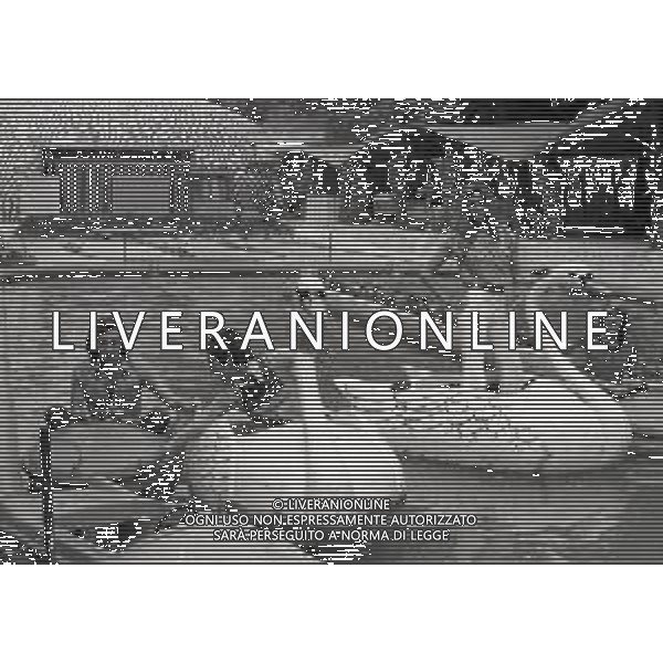 RETROSPETTIVA COMPLESSO MUSICALE RICCHI E POVERI  NELLA FOTO ANGELO SOTGIU -MARINA OCCHIENA-ANGELA BRAMBATI E FRANCO GATTI COMPLESSO MUSICALE DEI RICCHI E POVERI NELL\'ANNO 1972 ALLO ZOO SUL GARDA  AG ALDO LIVERANI SAS
