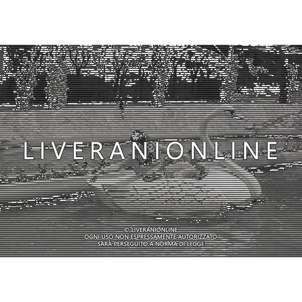 RETROSPETTIVA COMPLESSO MUSICALE RICCHI E POVERI NELLA FOTO IL COMPLESSO MUSICALE DEI RICCHI E POVERI NELL\'ANNO 1972 ALLO ZOO SUL GARDA AG ALDO LIVERANI SAS 