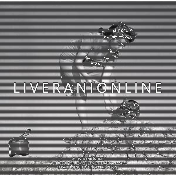 RETROSPETTIVA GINA LOLLOBRIGIDA ATTRICE NELLA FOTO GINA LOLLOBRIGIDA NEL FILM PANE AMORE E GELOSIA NELL\'ANNO 1954 AG ALDO LIVERANI SAS
