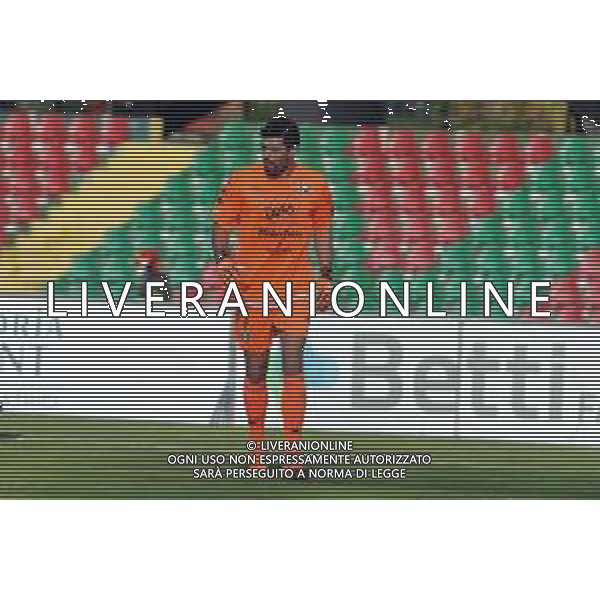 Ternana vs Palermo Campionato Serie C - 3 giornata Stadio Liberati - Terni 07-10-2020 nella foto Alberto Pelagotti ©Federico Gaetano / AGENZIA ALDO LIVERANI SAS