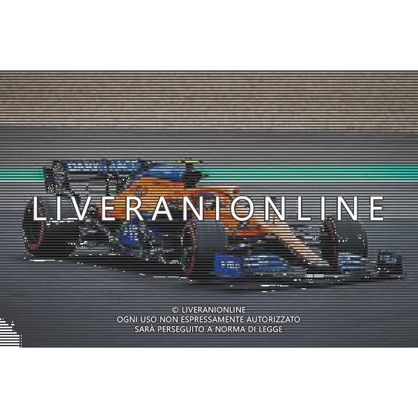 Formula 1 Aramco Grosser Preis Der Eifel 2020, Eifel Grand Prix - Sunday - Formula 1 Championship, 11 October 2020 Nurburgring, nurburg, germany, Italy Photo showing: 04 NORRIS Lando (gbr), McLaren Renault F1 MCL35, action @LM/DPPI/DPPI/Antonin Vincent AG ALDO LIVERANI SAS