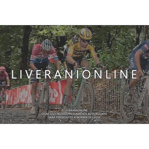 luke rowe gb ineos leads kwaitkoski poland ineos with mathieu van der poel in Netherlands champions jersey at head of peloton on first climb of kemmelberg ©SIROTTI / AGENZIA ALDO LIVERANI SAS
