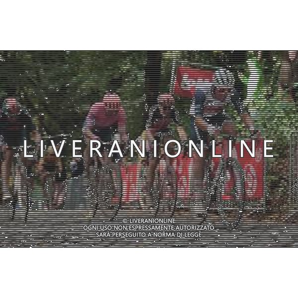 luke rowe gb ineos leads kwaitkoski poland ineos with mathieu van der poel in Netherlands champions jersey at head of peloton on first climb of kemmelberg ©SIROTTI / AGENZIA ALDO LIVERANI SAS