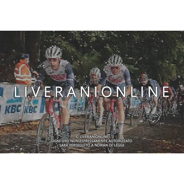11-10-2020 Gent - Wevelgem; 2020, Trek - Segafredo; Pedersen, Mads; Monte Kemmel; ©SIROTTI / AGENZIA ALDO LIVERANI SAS