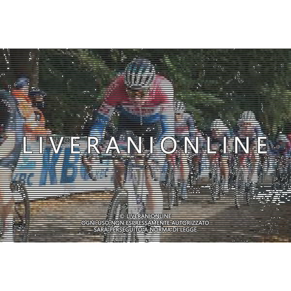 11-10-2020 Gent - Wevelgem; 2020, Alpecin - Fenix; Van Der Poel, Mathieu; Monte Kemmel; ©SIROTTI / AGENZIA ALDO LIVERANI SAS