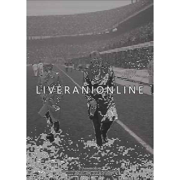 25-11-1984 MILANO CAMPIONATO DI CALCIO SERIE A MILAN -SAMPDORIA 0-1 NELLA FOTO EUGENIO BERSELLINI ALLENATORE SAMPDORIA AG ALDO LIVERANI SAS