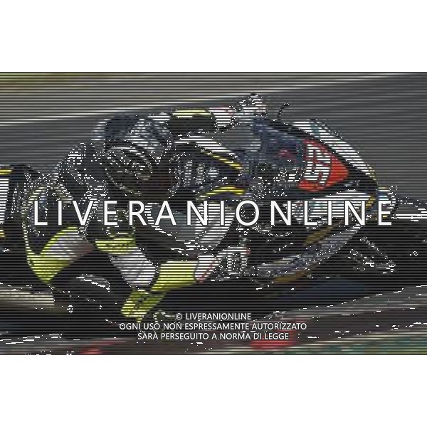 R4 Elf Civ 20 - CIV - Italian Speed Championship, 17 October 2020 vallelunga, Italy Photo showing: Lorenzo Savadori round 4 Vallelunga elfciv2020 Italian Champion @LM/Giorgio Panacci/ AGENZIA ALDO LIVERANI SAS