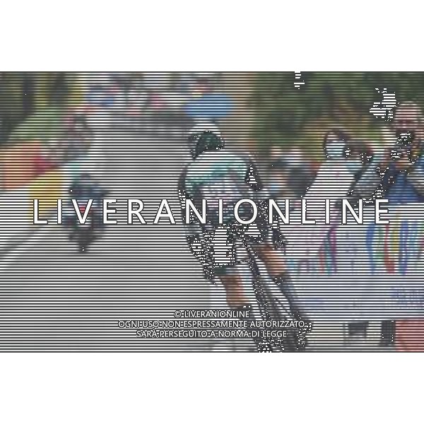 17-10-2020 Giro D\'italia; Tappa 14 Conegliano - Valdobbiadene; 2020, Bora - Hansgrohe; Majka, Rafal; Valdobbiadene; ©SIROTTI / AGENZIA ALDO LIVERANI SAS