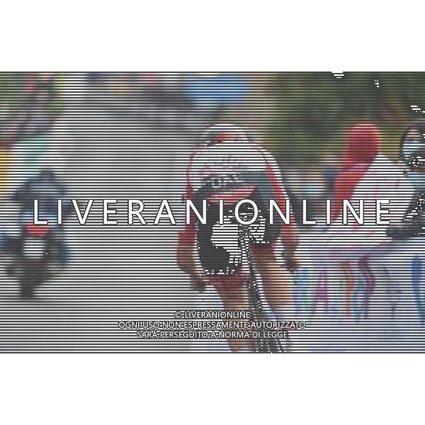 17-10-2020 Giro D\'italia; Tappa 14 Conegliano - Valdobbiadene; 2020, Uae - Emirates; Mcnulty, Brandon; Valdobbiadene; ©SIROTTI / AGENZIA ALDO LIVERANI SAS