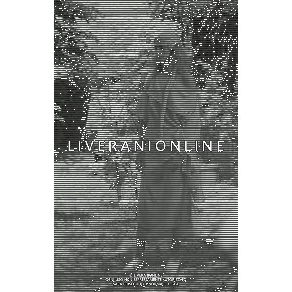 NEG-RETROSPETTIVA DALILA DI LAZZARO ATTRICE NELLA FOTO DALILA DI LAZZARO NEL FILM“OH, SERAFINA“ NELL\'ANNO 1976 AG ALDO LIVERANI SAS