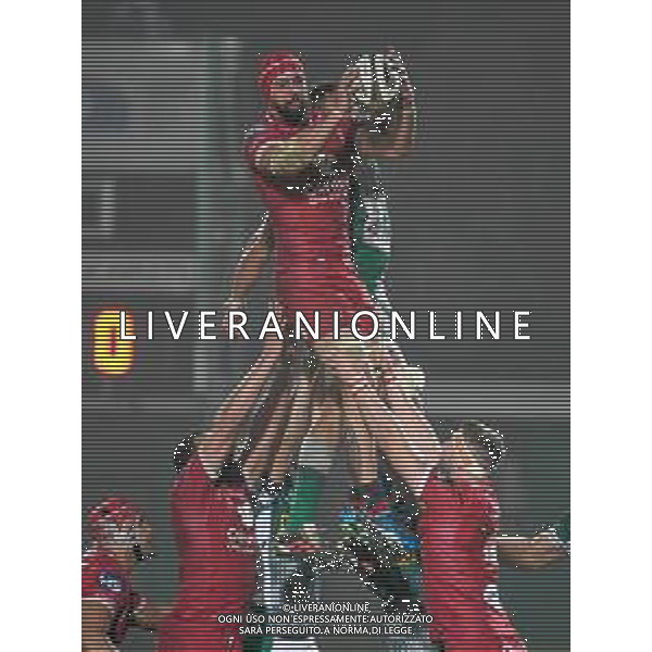 Benetton Treviso vs Scarlets Rugby - Rugby Guinness Pro 14 match 2020/2021, 23 October 2020 Stadio Comunale di Monigo, Treviso, Italy Photo showing: Blade Thomson (Scarlets) catches the ball after a touch @LM/Ettore Griffoni AG ALDO LIVERANI SAS